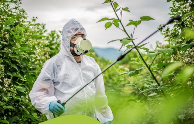 Renovação do Cartão de Aplicador de Fitofarmacêuticos