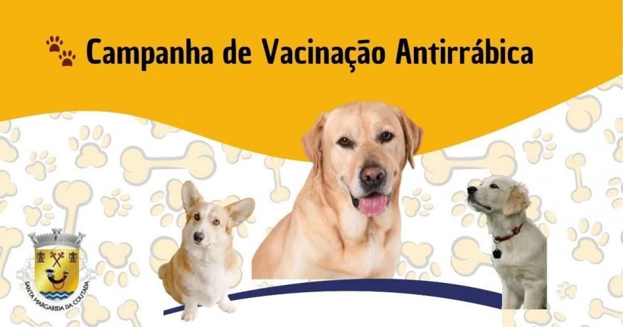 Campanha de Vacina&ccedil;&atilde;o Antirr&aacute;bica 2026 - Calend&aacute;rio