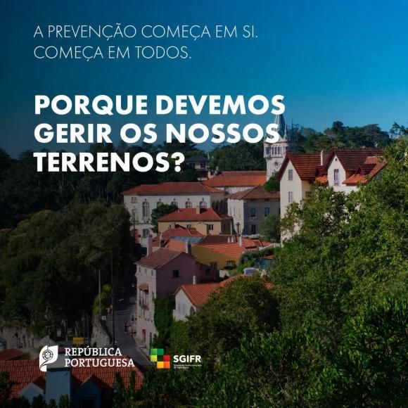 Limpeza de Terrenos 