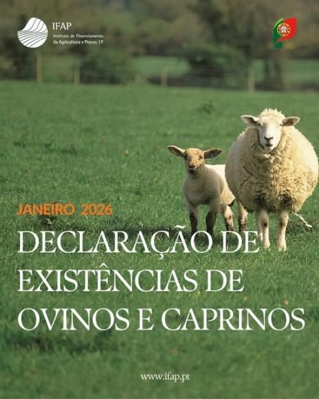 DECLARA&Ccedil;&Atilde;O DE E EXIST&Ecirc;NCIAS DE OVINOS E CAPRINOS - JANEIRO 2026