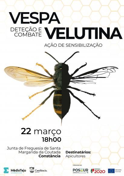 A&ccedil;&atilde;o de sensibiliza&ccedil;&atilde;o - Vespa Velutina