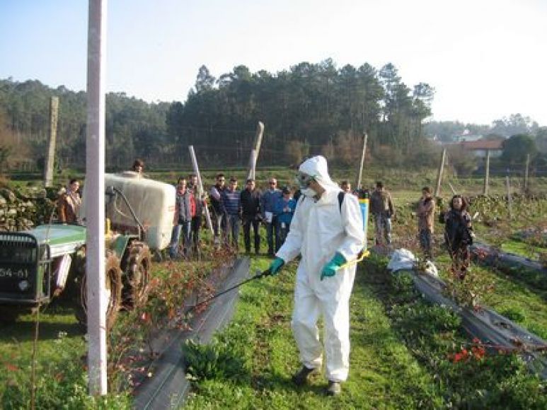 Forma&ccedil;&atilde;o Certificada e Gratuita - UFCD 8261 - aplica&ccedil;&atilde;o de produtos fitofarmac&ecirc;uticos